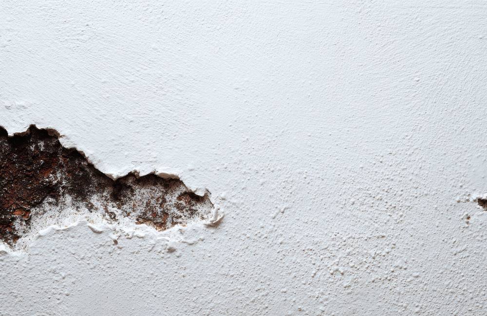 Damaged wall with exposed material requiring repair