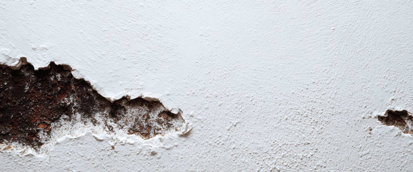 Damaged wall with exposed material requiring repair